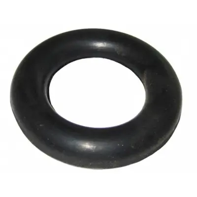 картинка Эспандер кольцо гладкое 10 кг 